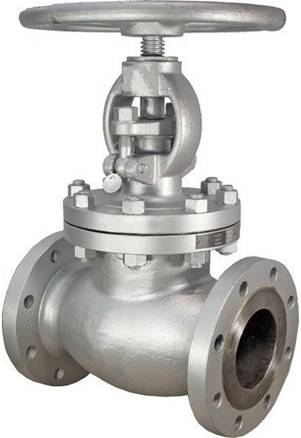 Steam globe valve