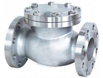 Stainless steel check valve