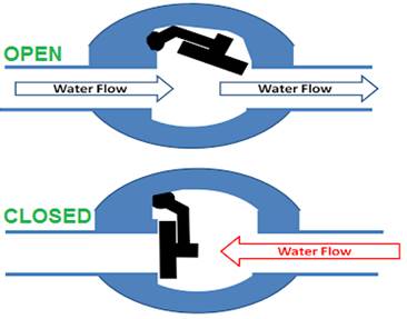 Working of a spring check valve