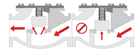 Lift spring check valve in open state (left side) and in closed state (right side)