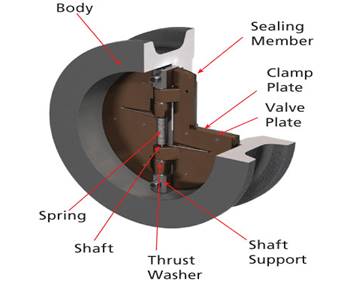Wafer spring-loaded check valve
