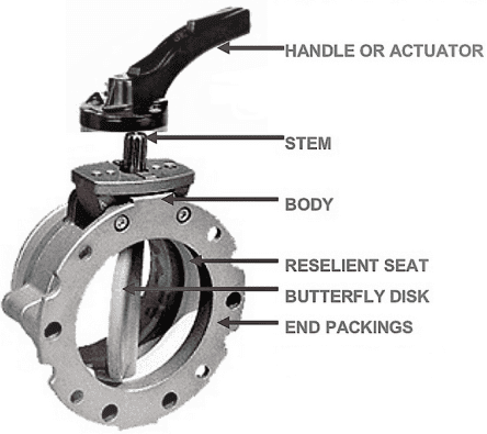 Components of a flanged butterfly valve