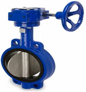 Gear operated butterfly valve