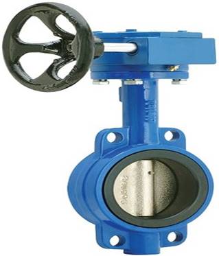 Gear operated wafer butterfly valve