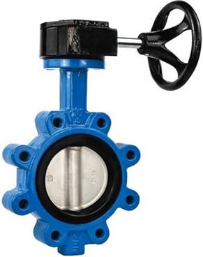 Gear operated lug butterfly valve