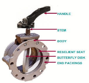 Components of manual butterfly valve