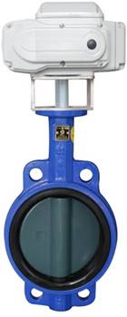 Concentric electric actuated butterfly valve