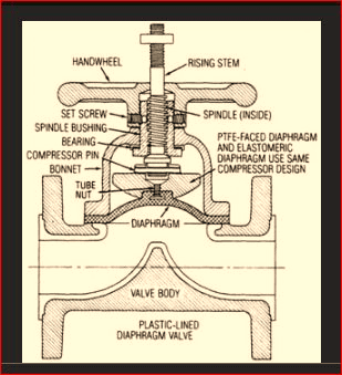 diaphgram valve structure