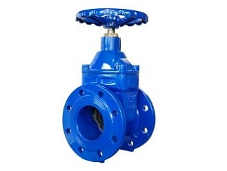 resilient wedge gate valve