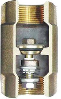 Spring check valve